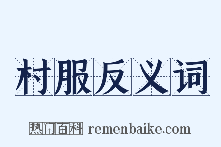 村服反义词是什么意思的图片